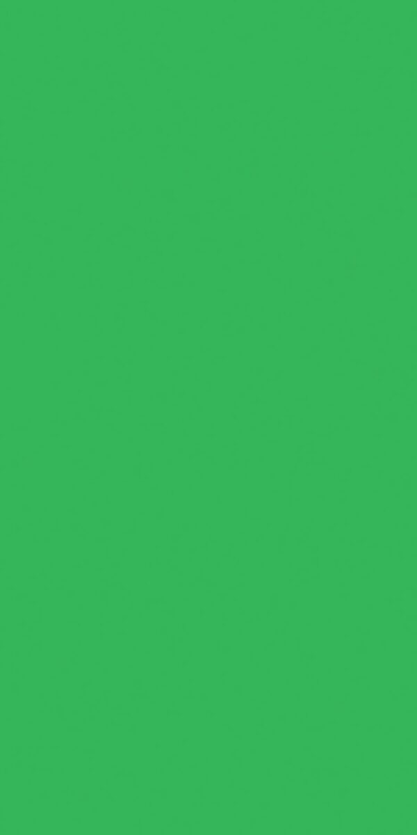 kiwi-green